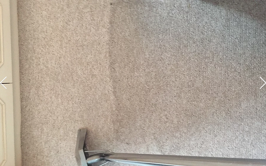 carpet cleaning