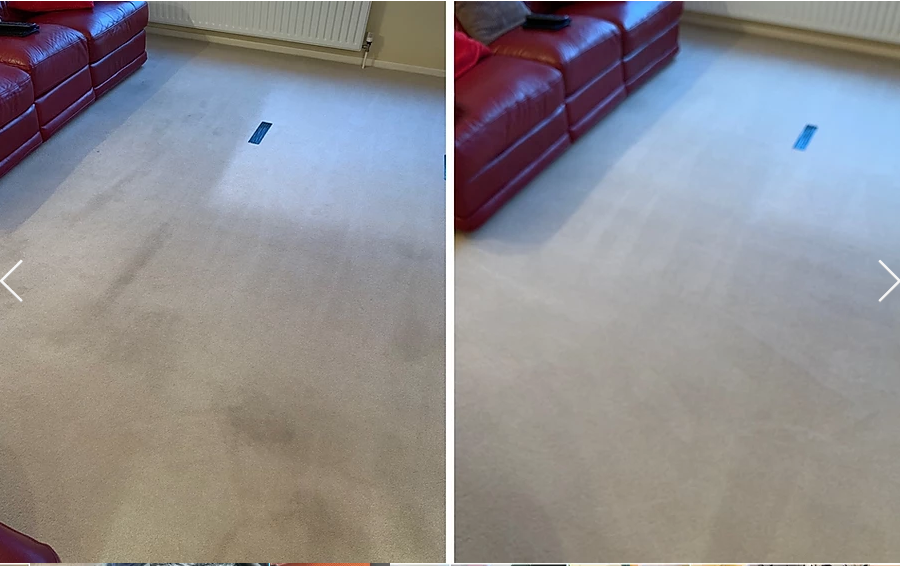 carpet cleaning